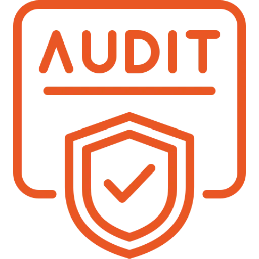 audit